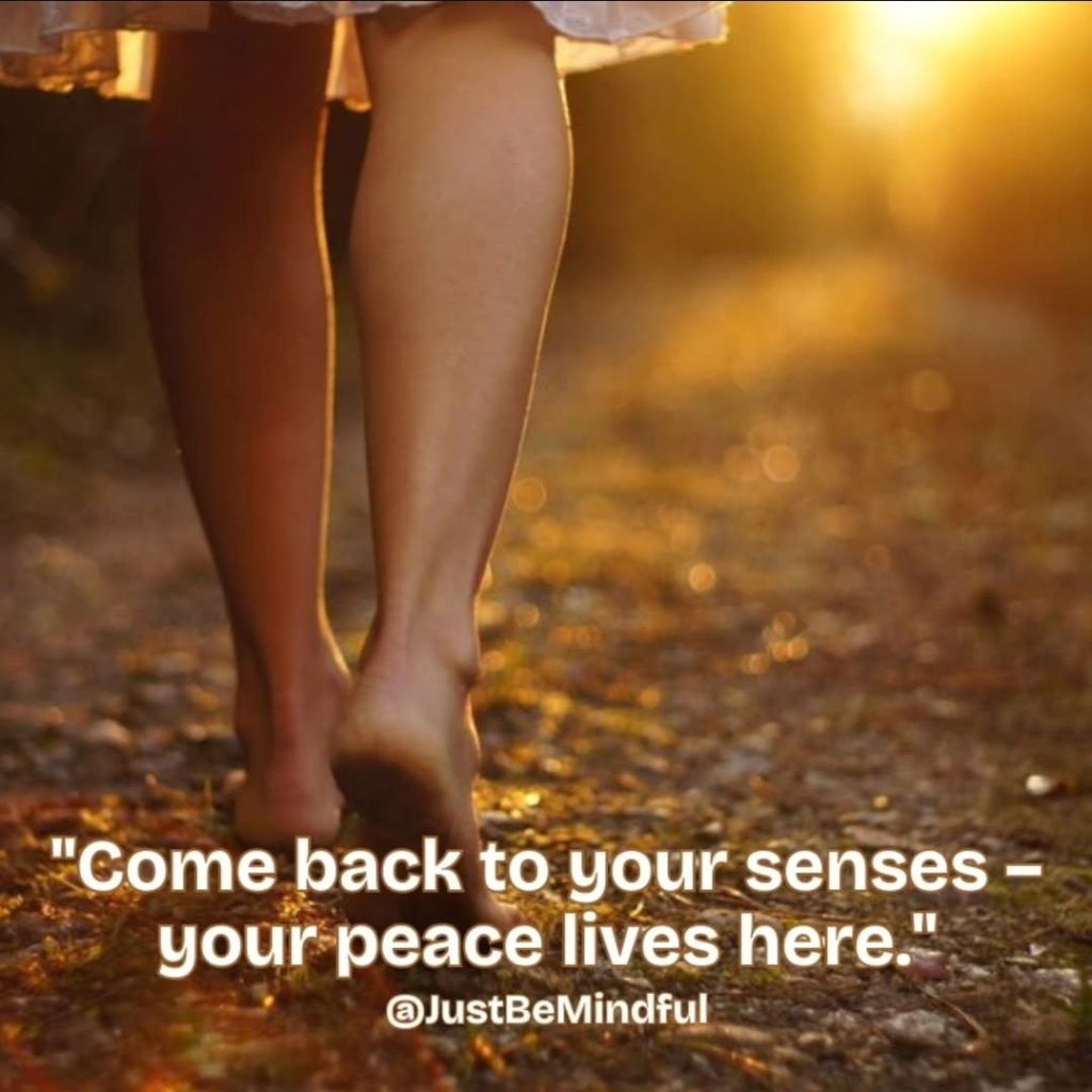 Personalised meditation set up